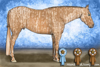 Horse Color:Palomino Pearl Brindle