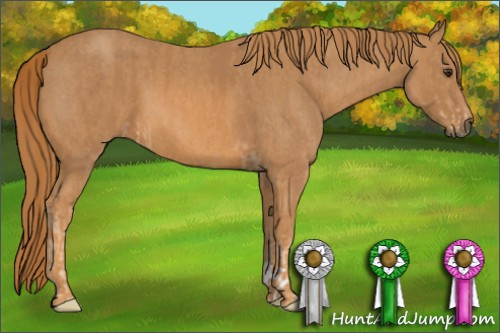 Horse Color: Chestnut  Brindle