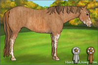 Horse Color:Bay Sabino  Brindle
