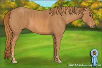 Horse Color:Chestnut  Brindle