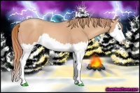 Horse Color:Gold Champagne Splash 