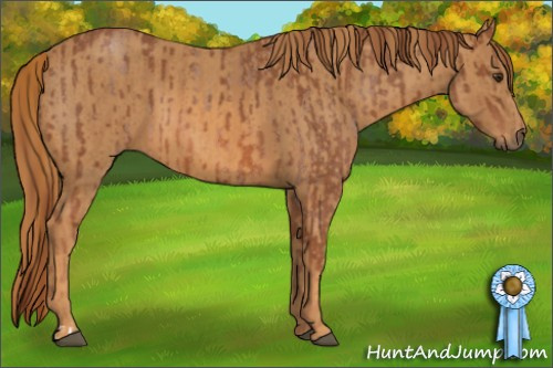 Horse Color: Red Roan  Brindle