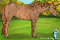 Horse Color:Red Roan Brindle