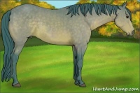 Horse Color:Watercolor Buckskin Brindle