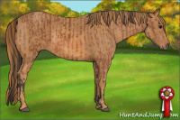Horse Color:Bay  Brindle