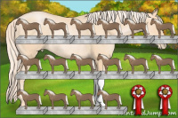 Horse Color:Chocolate Palomino Pearl Mushroom Rabicano
