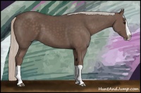 Horse Color:Silver Black Splash 