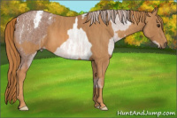 Horse Color:Red Roan Tobiano  Brindle