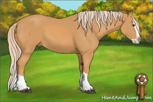 Horse Color: Chocolate Palomino Mushroom Splash 