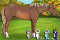 Horse Color:Liver Chestnut 