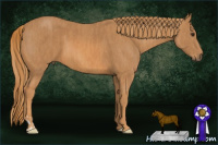 Horse Color:Chestnut Brindle