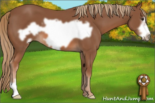 Horse Color: Chestnut Frame 
