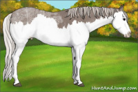 Horse Color:Silver Black Ice Splash 
