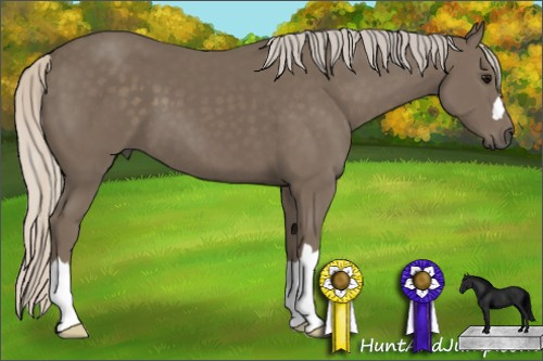 Horse Color: Silver Smoky Black 
