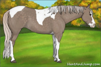 Horse Color:Silver Grullo Splash Tobiano