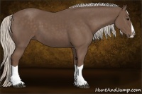 Horse Color:Silver Black Splash 