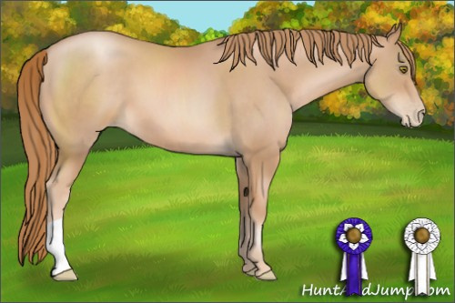 Horse Color: Chestnut Pearl 