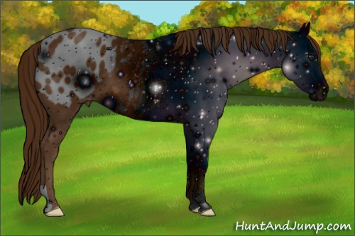 Horse Color: ERROR: UNKNOWN ANOMALY