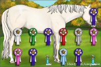 Horse Color:Palomino Pearl Dun Sabino