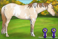 Horse Color:White Spotted Bay Pearl Dun 