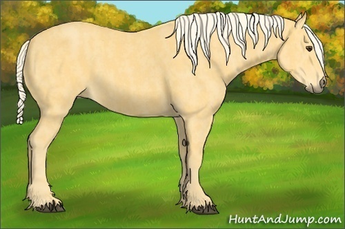 Horse Color:Palomino Brindle