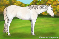 Horse Color:White Spotted Perlino Dun 