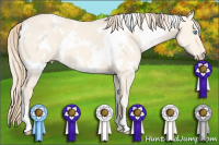 Horse Color:White Spotted Perlino Dun 