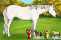 Horse Color:White Spotted Perlino Dun Sabino Splash 