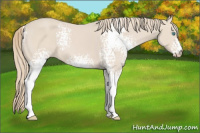 Horse Color:White Spotted Smoky Creme 