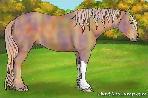 Horse Color: Nacre Chestnut 