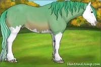Horse Color:Watercolor Bay Splash