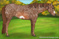 Horse Color:Chestnut Ice Frame