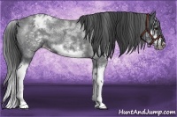 Horse Color:White Spotted Blue Roan Splash Frame Blanket 