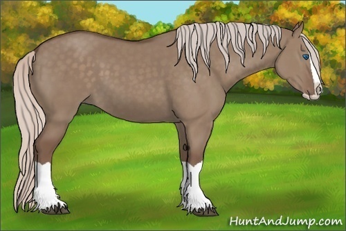 Horse Color: Silver Grullo Splash 