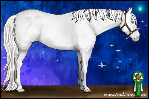 Horse Color: White Spotted Silver Amber Cream Champagne Pearl Dun Splash Leopard 