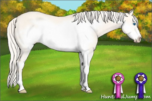Horse Color: Cremello Dun Sabino Frame 