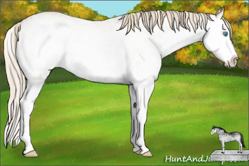 Horse Color: White Spotted Smoky Creme Splash Rabicano 