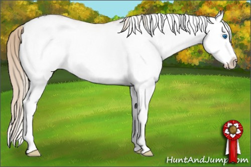 Horse Color: White Spotted Smoky Creme Splash Rabicano 