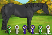 Horse Color:Brown Rabicano 