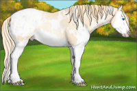 Horse Color:White Spotted Smoky Black Pearl Splash Appaloosa 