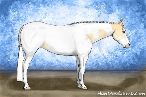 Horse Color: Silver Buckskin Splash Tobiano Snowcap 