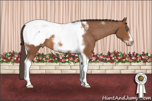 Horse Color: Bay Tobiano Frame Snowcap 