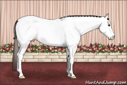 Horse Color: Bay Dun Sabino Near Fewspot 