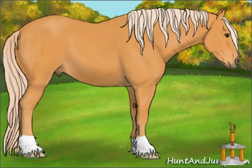 Horse Color: Palomino 