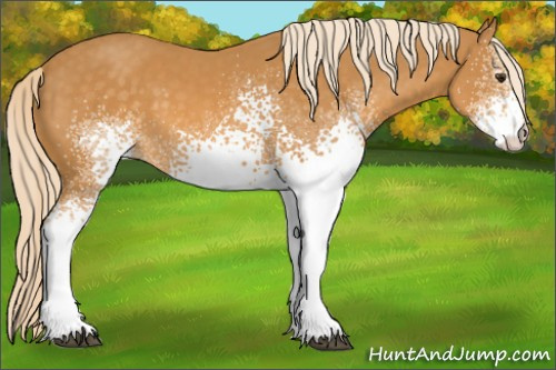 Horse Color: White Spotted Palomino Tobiano 