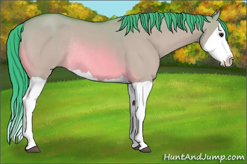 Horse Color: Watercolor Bay Dun Splash Rabicano 