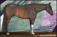 Horse Color:Brown Roan Brindle
