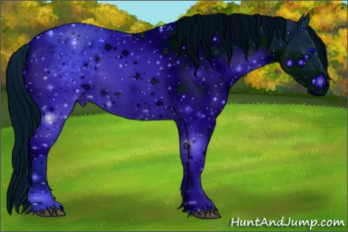Horse Color: ERROR: UNKNOWN ANOMALY