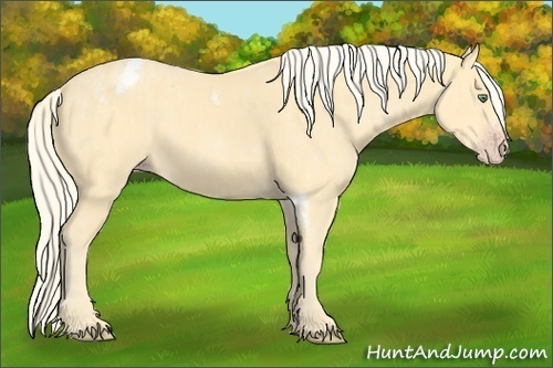 Horse Color: Gold Cream Champagne Tobiano Frame  Brindle