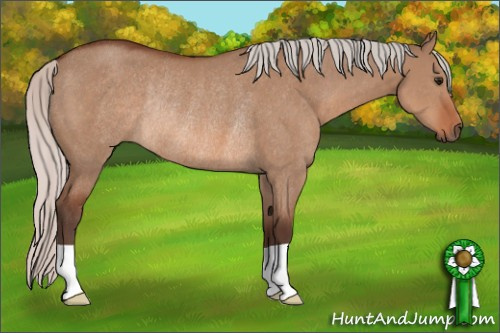 Horse Color: Silver Bay Dun Rabicano 
